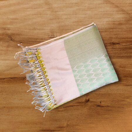 COLOUR TISSUE SILK SAREE